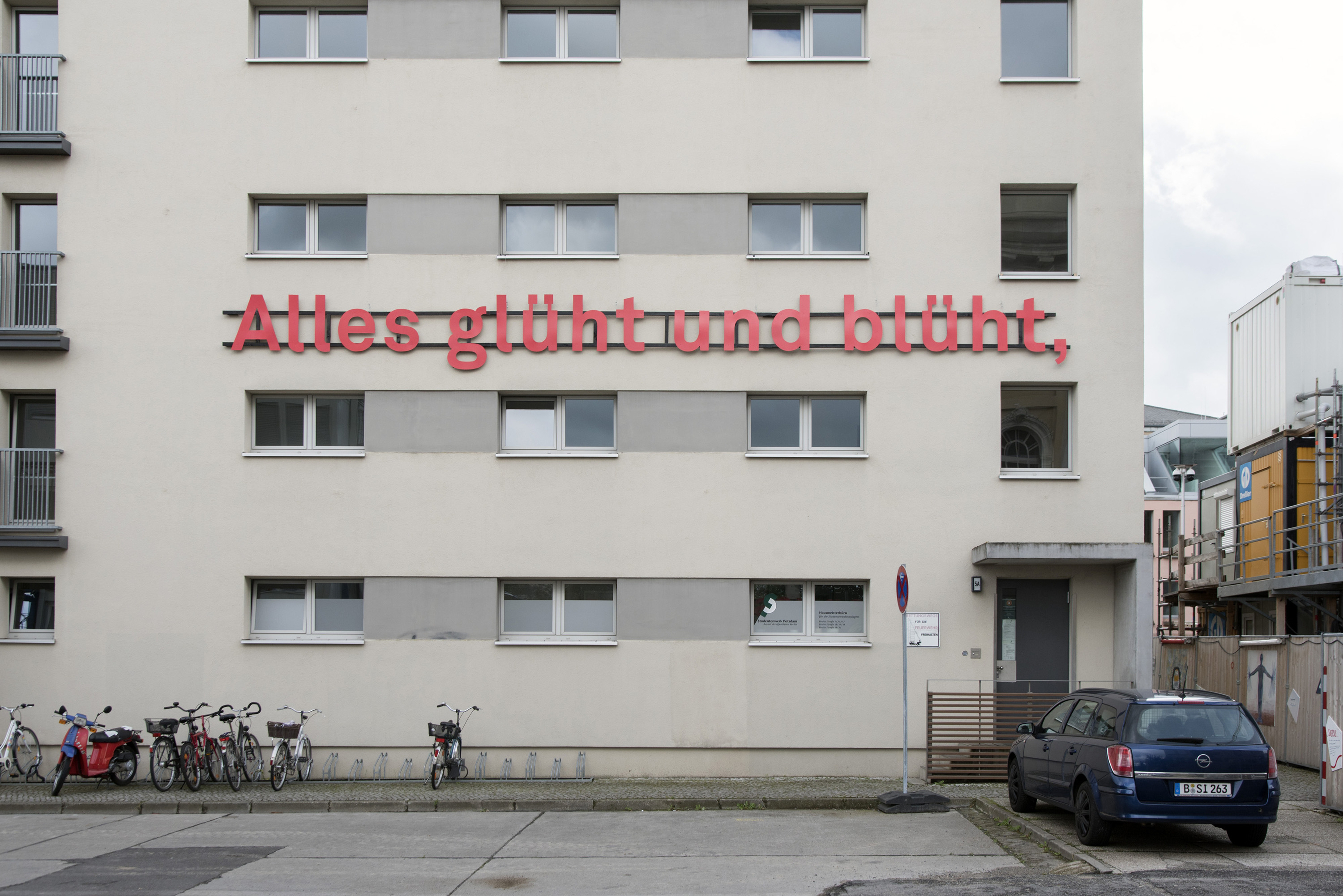 <p>ALLES GLÜHT UND BLÜHT</p>