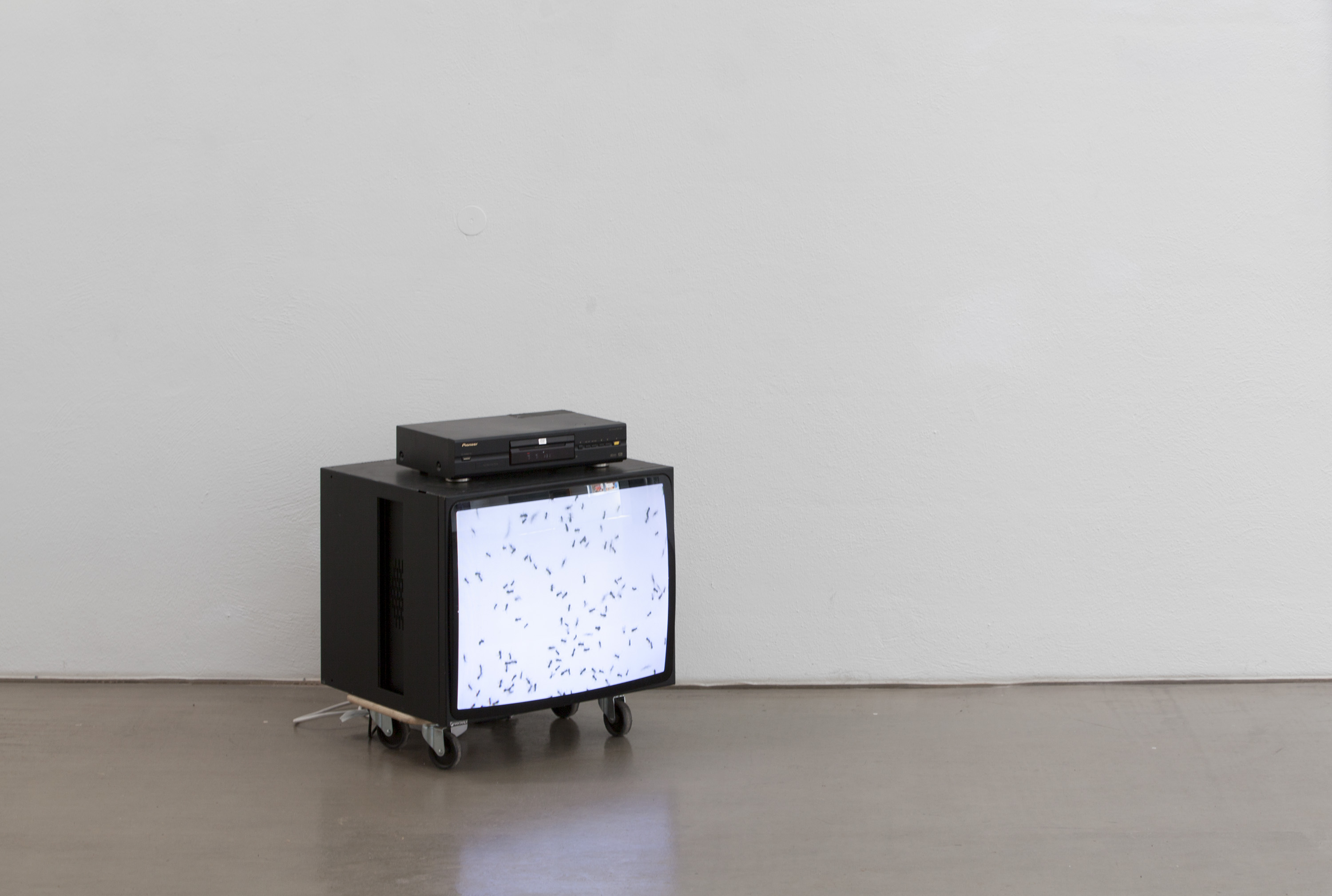 <p>NOISE</p>