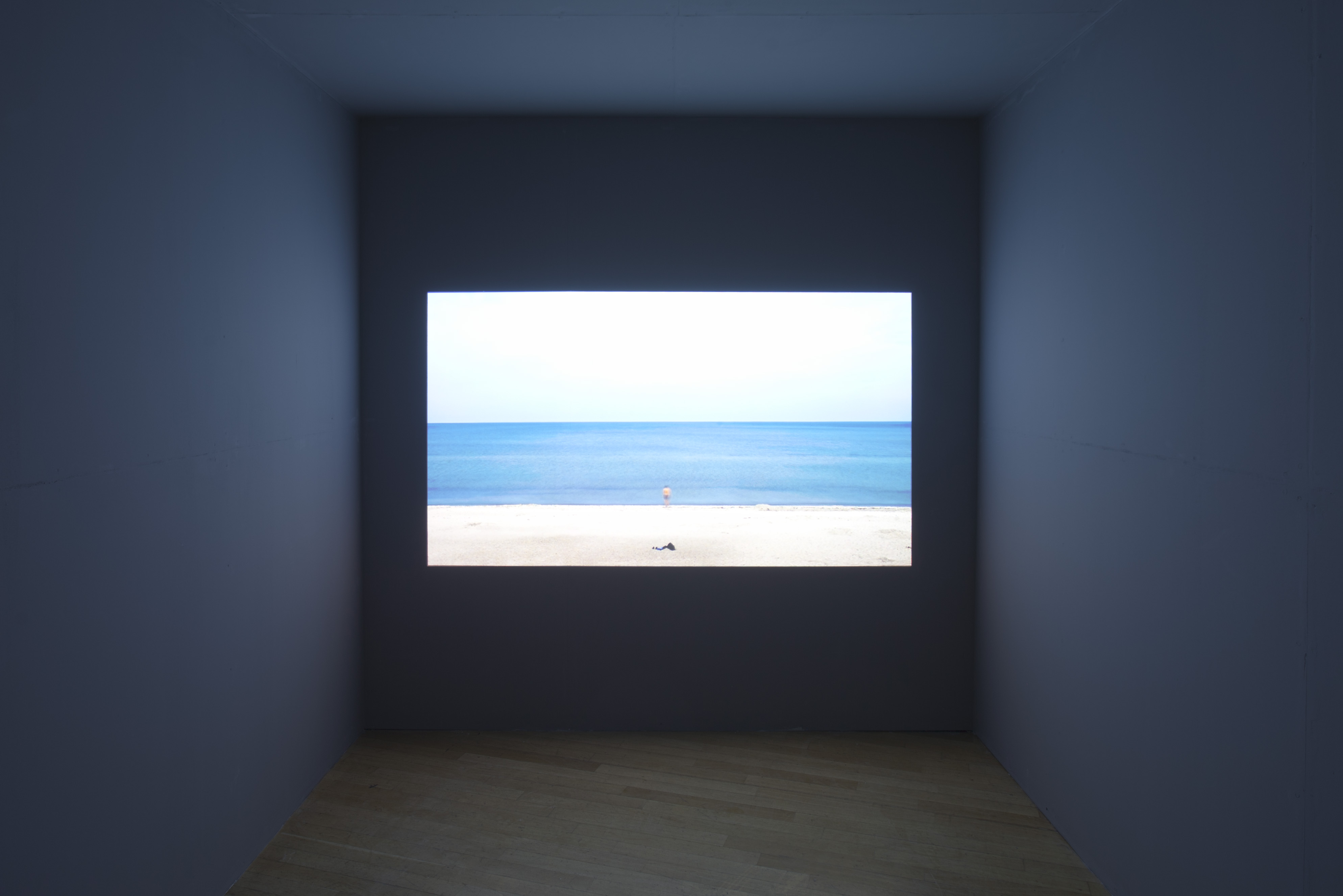 <p>THE UNKNOWN SHORE</p>